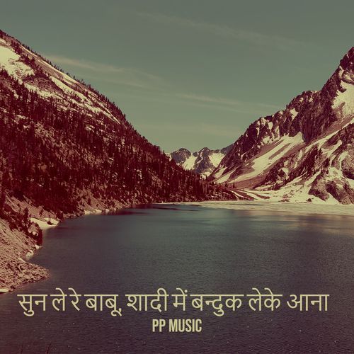 सुन ले रे बाबू, शादी में बन्दुक लेके आना PP Music MP3 Download
